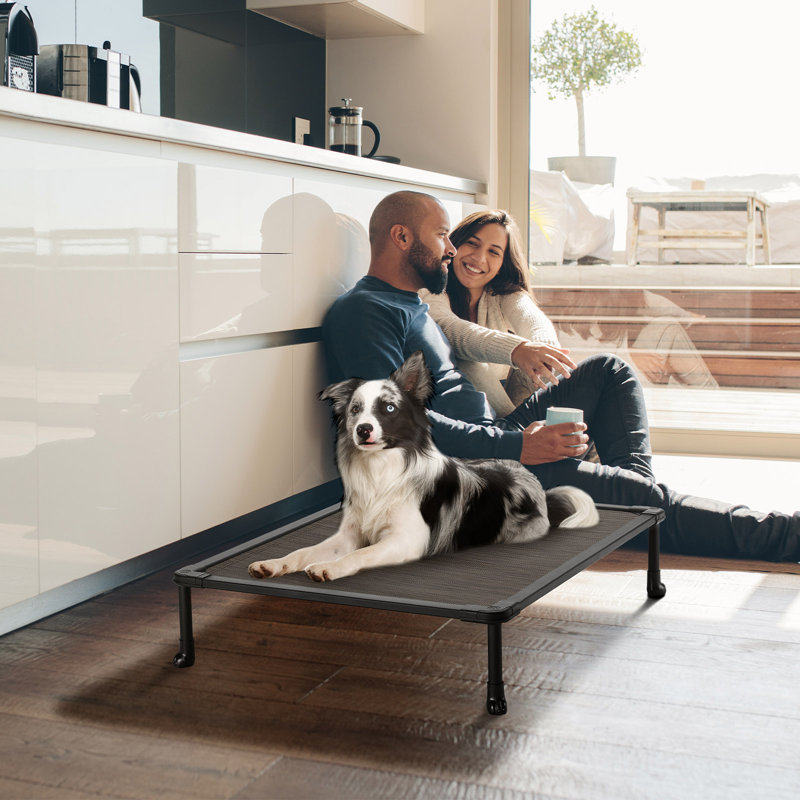 Tucker Murphy Pet™ Tucker Murphy Elevated Bed Chewproof Cooling Raised